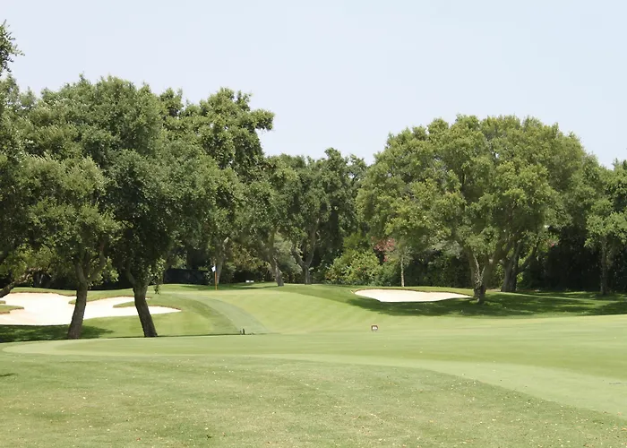 Dorada * Естепона