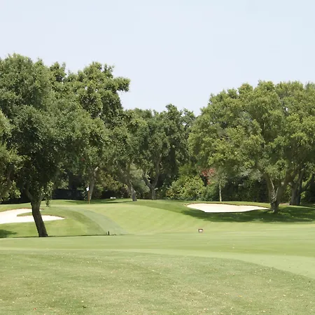 Dorada * אסטפונה